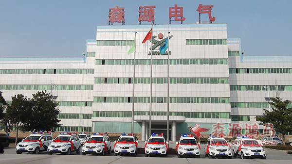 湖南长沙9台SUV电动巡逻车发车(图2)