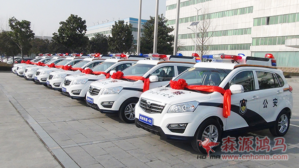 湖南长沙9台SUV电动巡逻车发车(图3)