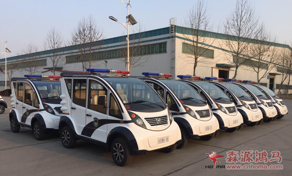 云南普洱12台电动巡逻车发车(图1)