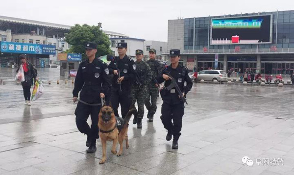 快看!警灯闪烁、特警武警蜀黎联勤武装巡逻(图5) 快看!警灯闪烁、特警武警蜀黎联勤武装巡逻(图5)