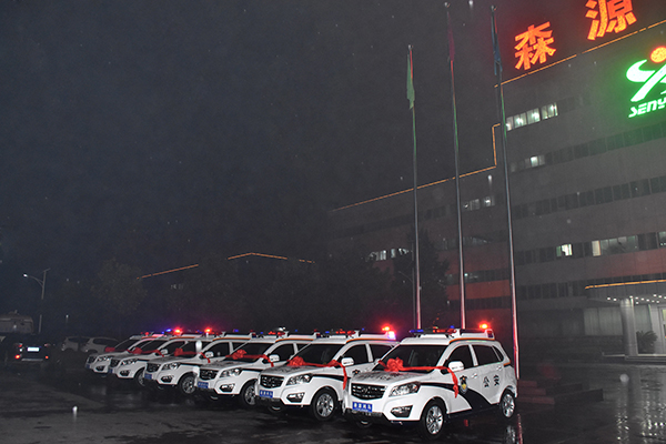 南阳内乡县采购SUV电动巡逻车(图2)