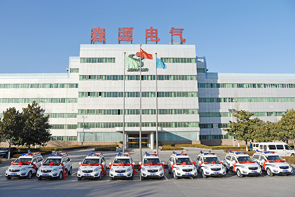 郑州市采购SUV电动巡逻车(图2)