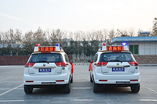 湖南麻阳县苗族自治县采购SUV电动巡逻车(图5)