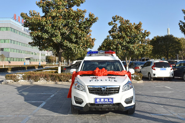 河北博野县采购SUV电动巡逻车(图1)