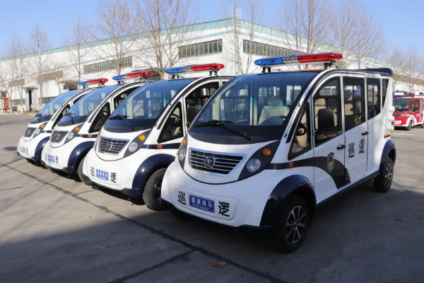 安徽淮南市采购电动巡逻车(图2)