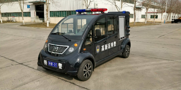 四川攀枝花市采购电动消防巡逻车(图2)