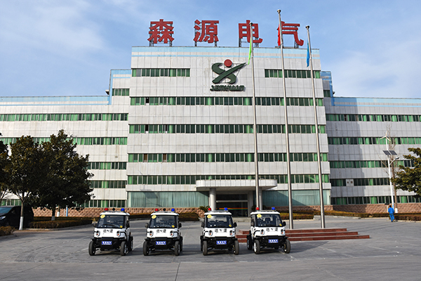 山东济宁市采购“小精灵”电动巡逻车(图1)