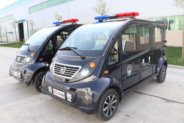 山东省枣庄市采购电动警犬巡逻车(图2)