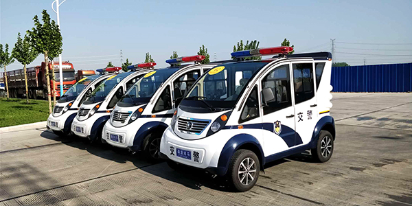 海南省保亭黎族苗族自治区采购电动巡逻车(图2)