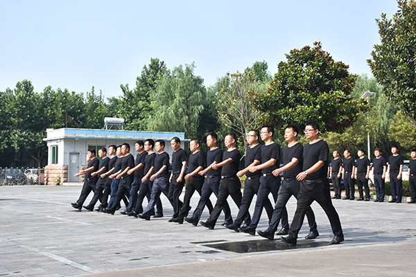 端午节后 森源鸿马元气满满(图6) 端午节后 森源鸿马元气满满(图6)
