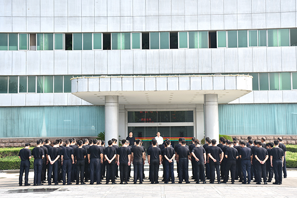 端午节后 森源鸿马元气满满(图1) 端午节后 森源鸿马元气满满(图1)