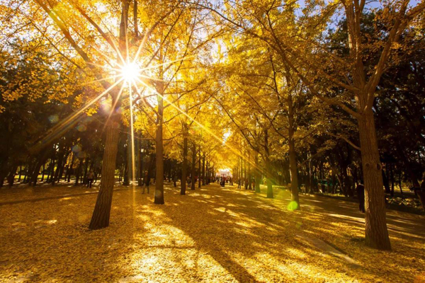 今日处暑(图4) 今日处暑(图4)