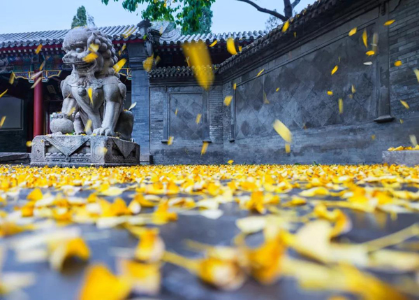 今日处暑(图5) 今日处暑(图5)
