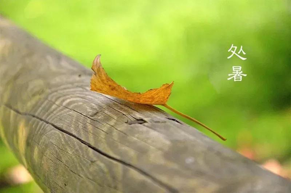 今日处暑(图1) 今日处暑(图1)