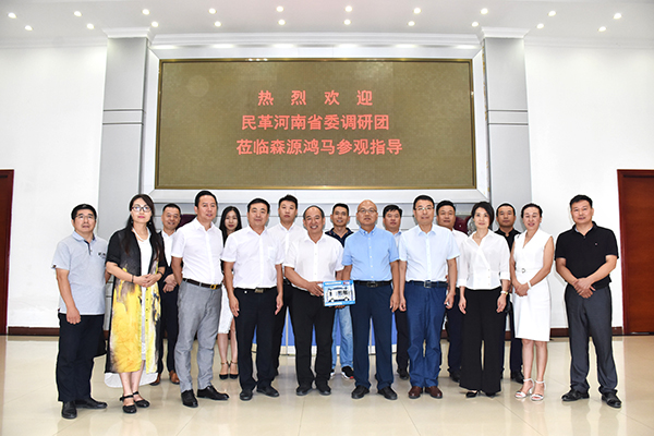 民革河南省委调研团莅临森源鸿马调研指导(图9)
