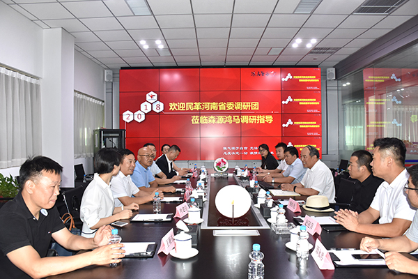 民革河南省委调研团莅临森源鸿马调研指导(图7)