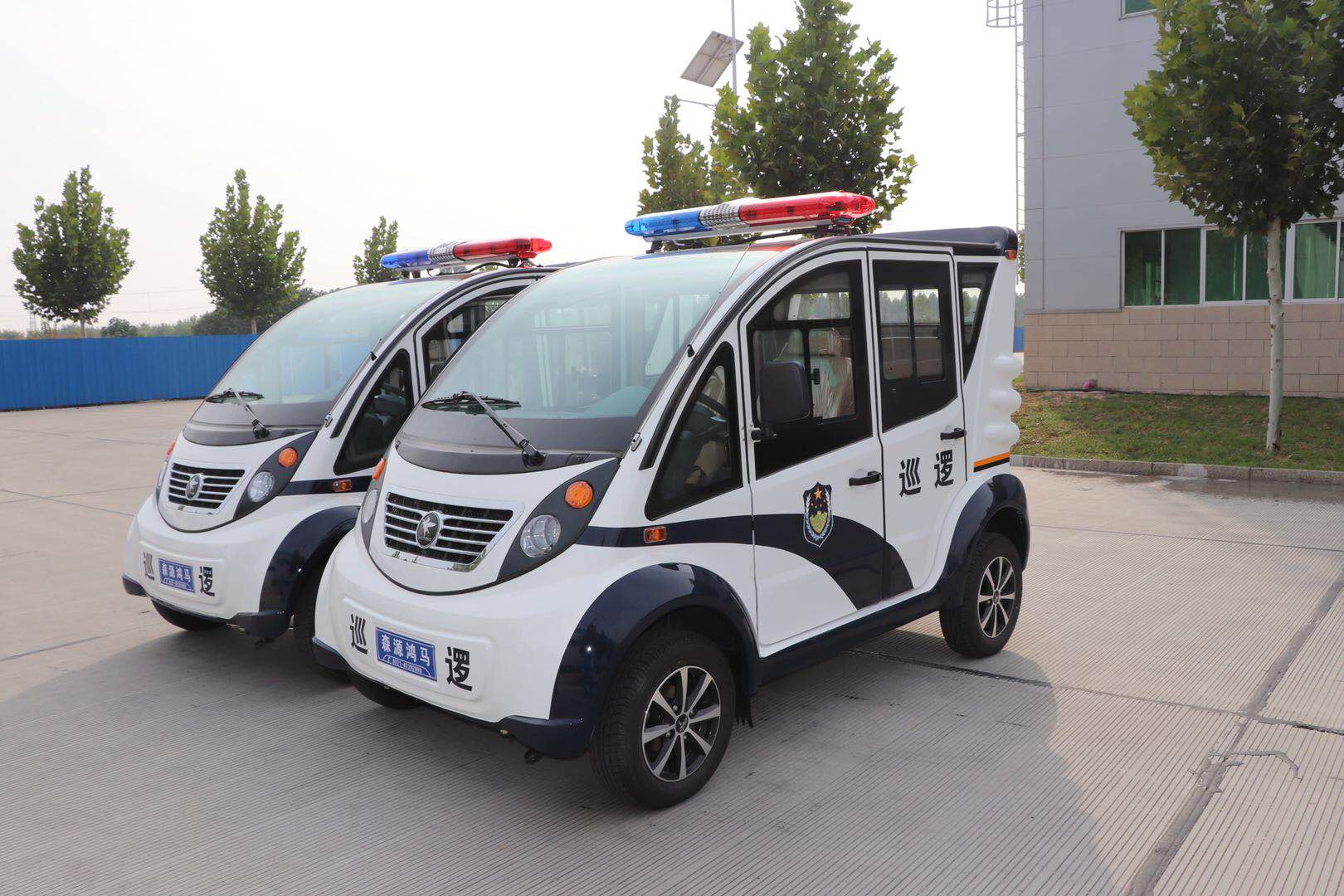 青海泽库县采购电动巡逻车(图2)