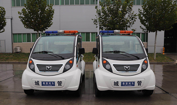 北京大兴采购电动巡逻车(图2)