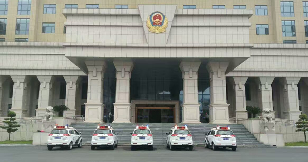 总理发话了！政府公务用车强制选择低速电动车！(图5)