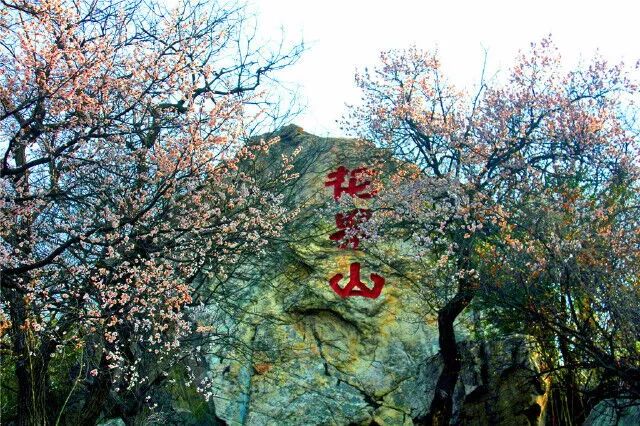 五一，邀您共赏花果山美“警”(图2)