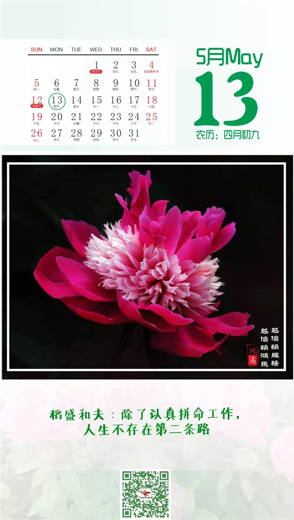 认真拼命工作(图1)