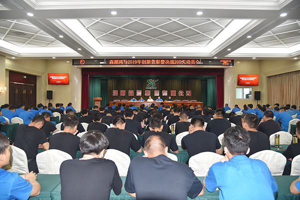 争做创新先锋||森源鸿马召开2019年创新表彰暨决战205天动员会(图7)