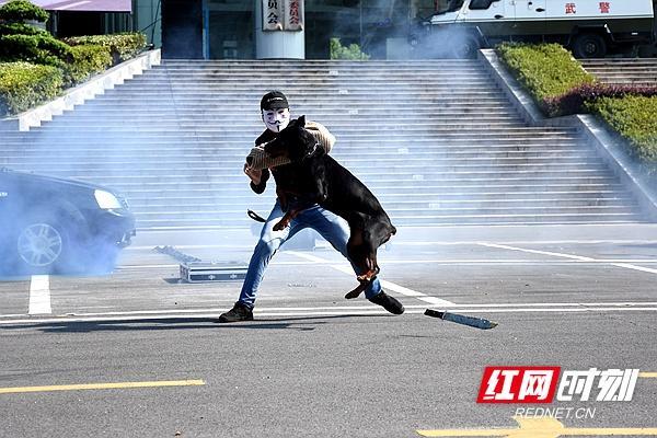 湘潭市举行“践行新使命 忠诚保大庆”实兵演练(图11) 湘潭市举行“践行新使命 忠诚保大庆”实兵演练(图11)
