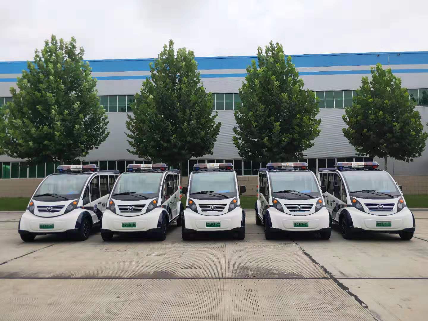 陕西兴平市采购电动巡逻车：添巡航之翼，助城市管理(图1)