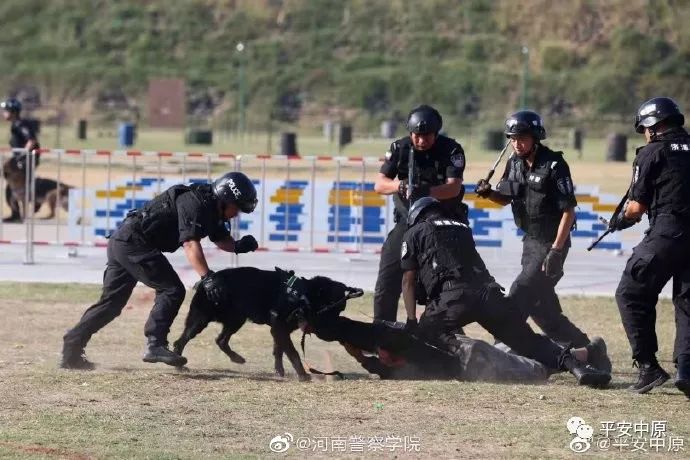 燃爆!河南公安 “砺剑·2019”新中国成立 70周年大庆安保誓师暨警务实战演练(图17) 燃爆!河南公安 “砺剑·2019”新中国成立 70周年大庆安保誓师暨警务实战演练(图17)