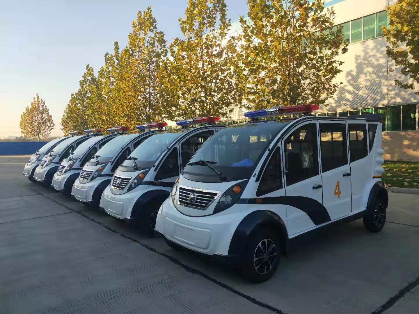 驻马店采购6台电动巡逻车(图2)