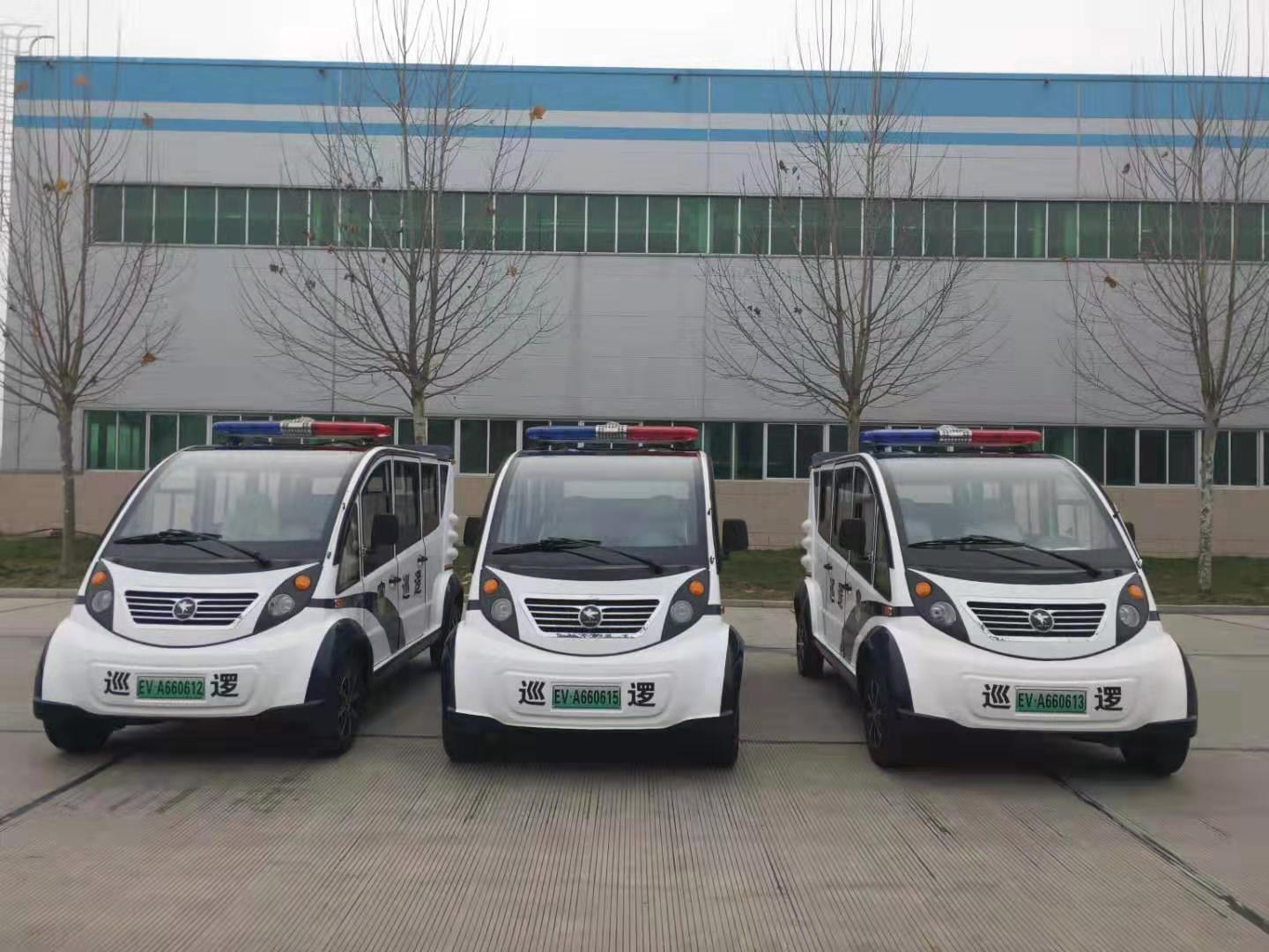 湖南湘西采购电动巡逻车(图1)