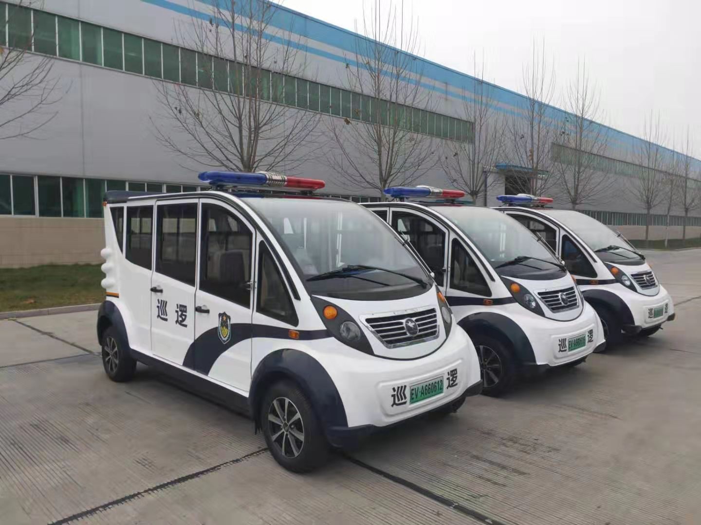 湖南湘西采购电动巡逻车(图2)