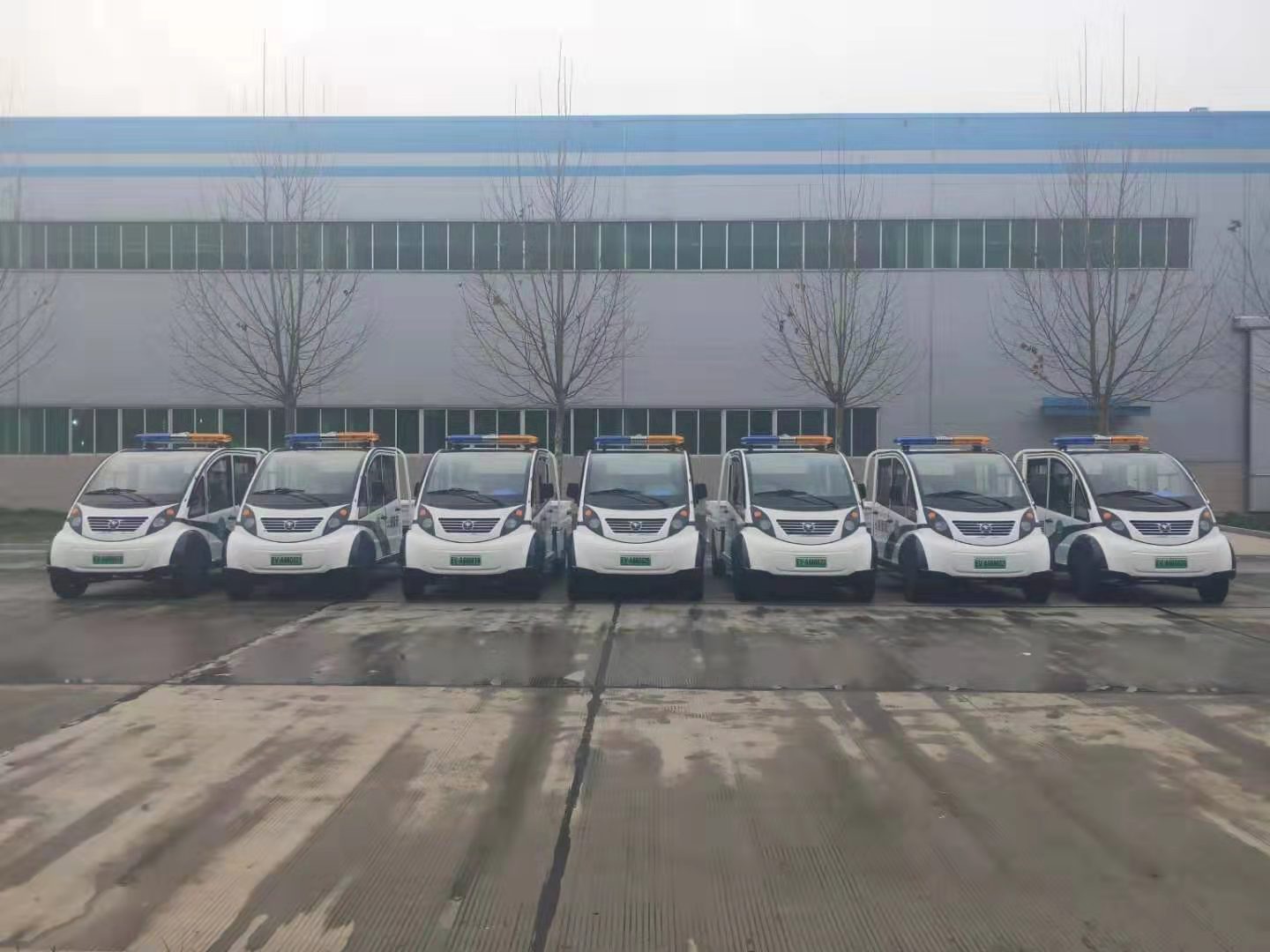 提升旅游服务质量   兰考电动巡逻车发车(图1)