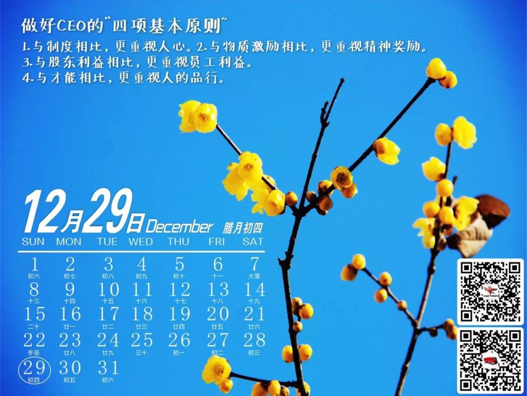 做好CEO的“四项基本原则”(图1)