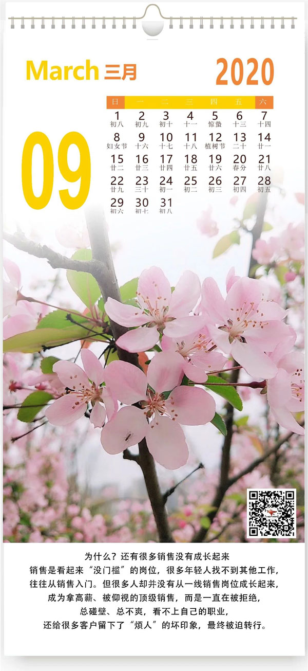 销售-1(图1) 销售-1(图1)