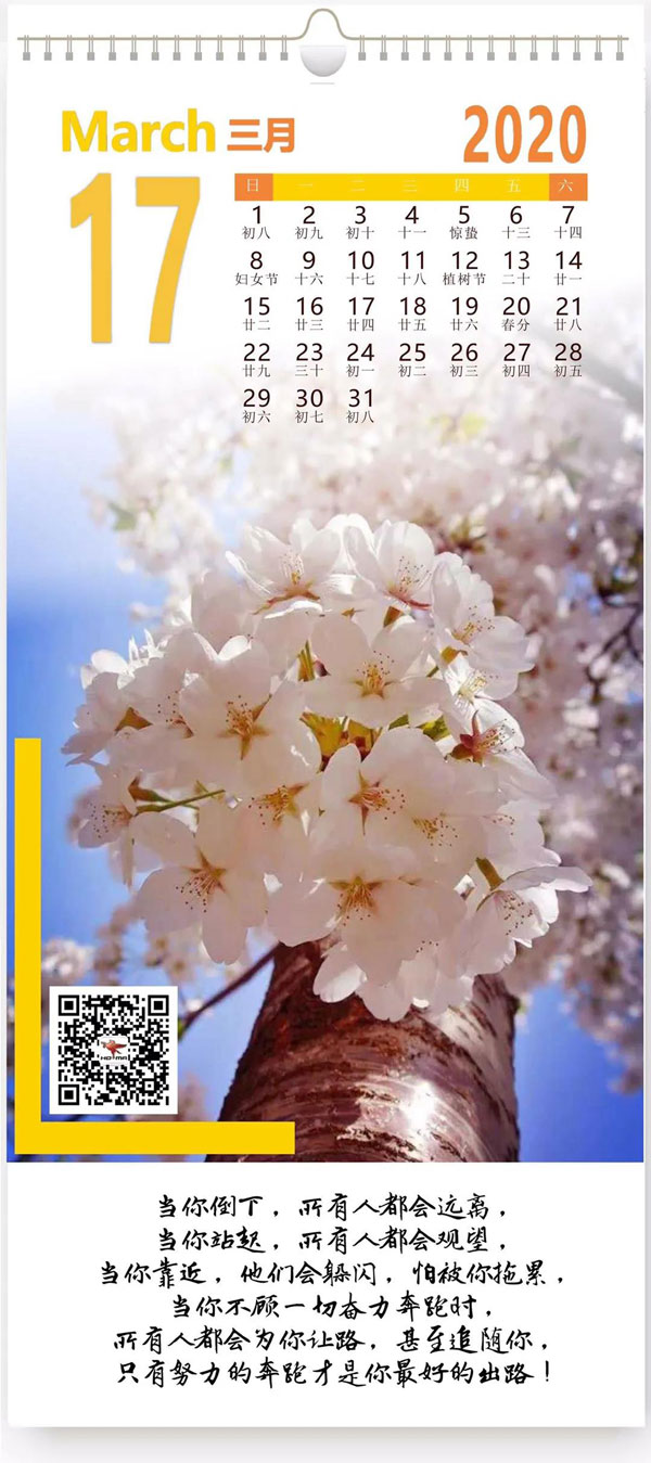 努力的奔跑才是你最好的出路(图1)