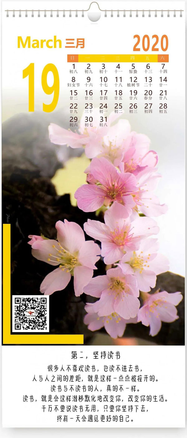 坚持读书(图1) 坚持读书(图1)