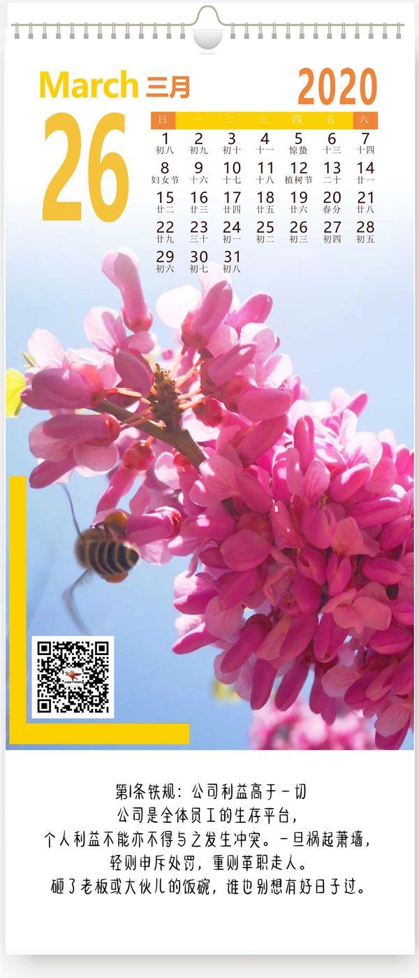 公司利益高于一切(图1)