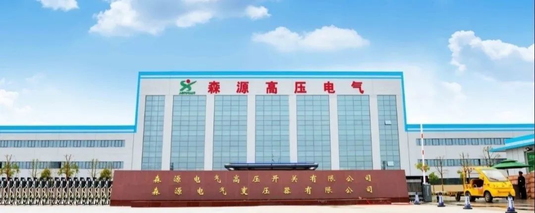 河南省省长尹弘视察森源集团(图11) 河南省省长尹弘视察森源集团(图11)