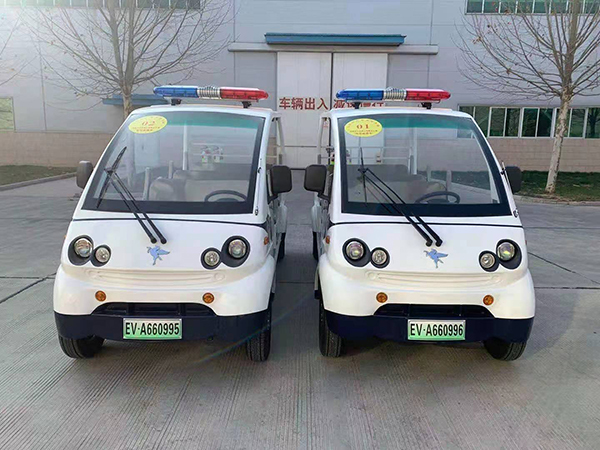安徽省淮南市采购电动巡逻车(图1)