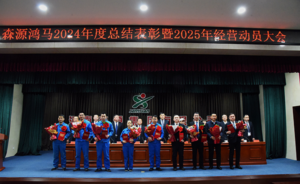 《森源鸿马最美奋斗者销售之星李巨淼：十年奋进，铸就辉煌》(图2)