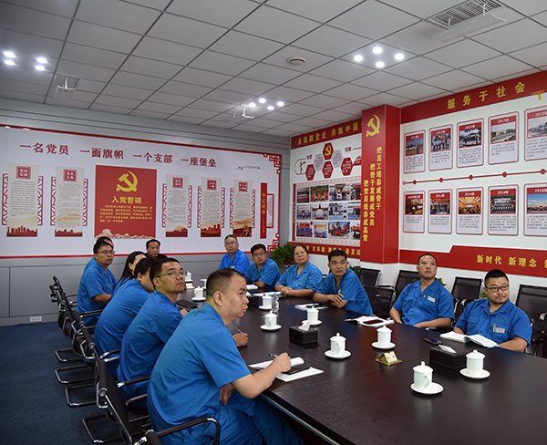 森源鸿马党支部主题党日：学习楚金甫书记党课精神，共促企业发展(图7)