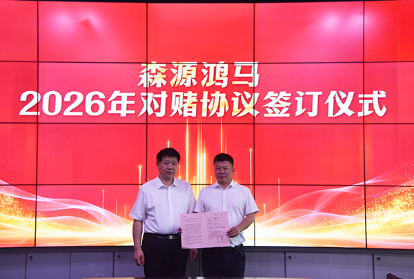 凝心聚力谋发展  锚准目标拓市场｜森源鸿马营销中心召开四月份总结培训会(图5)