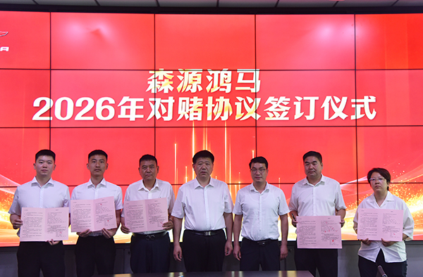 凝心聚力谋发展  锚准目标拓市场｜森源鸿马营销中心召开四月份总结培训会(图7)
