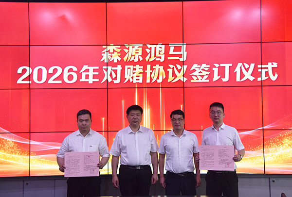 凝心聚力谋发展  锚准目标拓市场｜森源鸿马营销中心召开四月份总结培训会(图8)