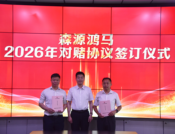 凝心聚力谋发展  锚准目标拓市场｜森源鸿马营销中心召开四月份总结培训会(图9)