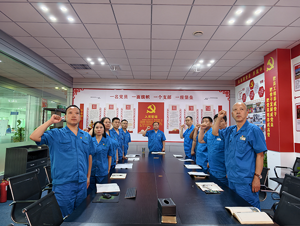 学思践悟强党性  实干担当庆七一||森源鸿马党支部召开庆“七一”专题支部会议(图5)