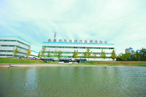森源鸿马谱写新年新篇章(图2)