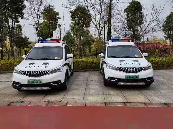 安徽寿县电动巡逻车上岗(图1)