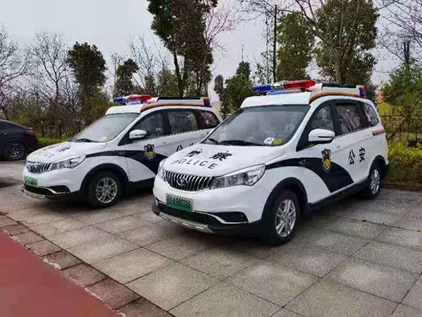 安徽寿县电动巡逻车上岗(图3)